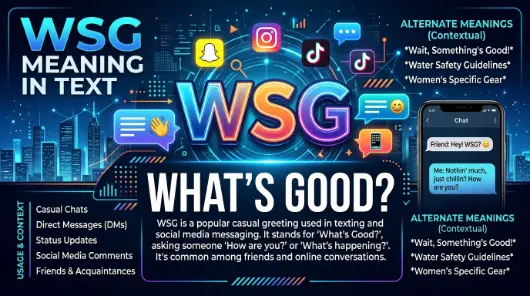 WSG Meaning in Text